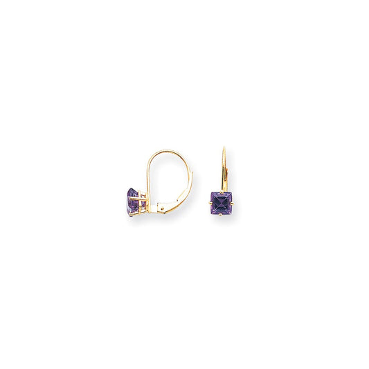 14k Yellow Gold 5mm Princess Cut Amethyst Leverback Earrings