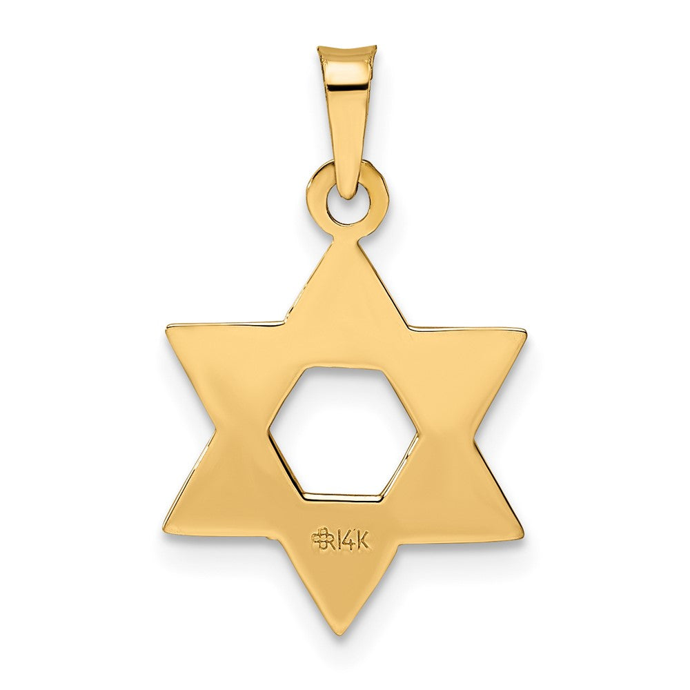 14k Rose Gold Rose Polished Solid Star of David Pendant