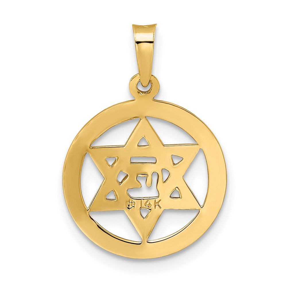 14k Yellow Gold Polished and Enameled Solid Star of David Pendant