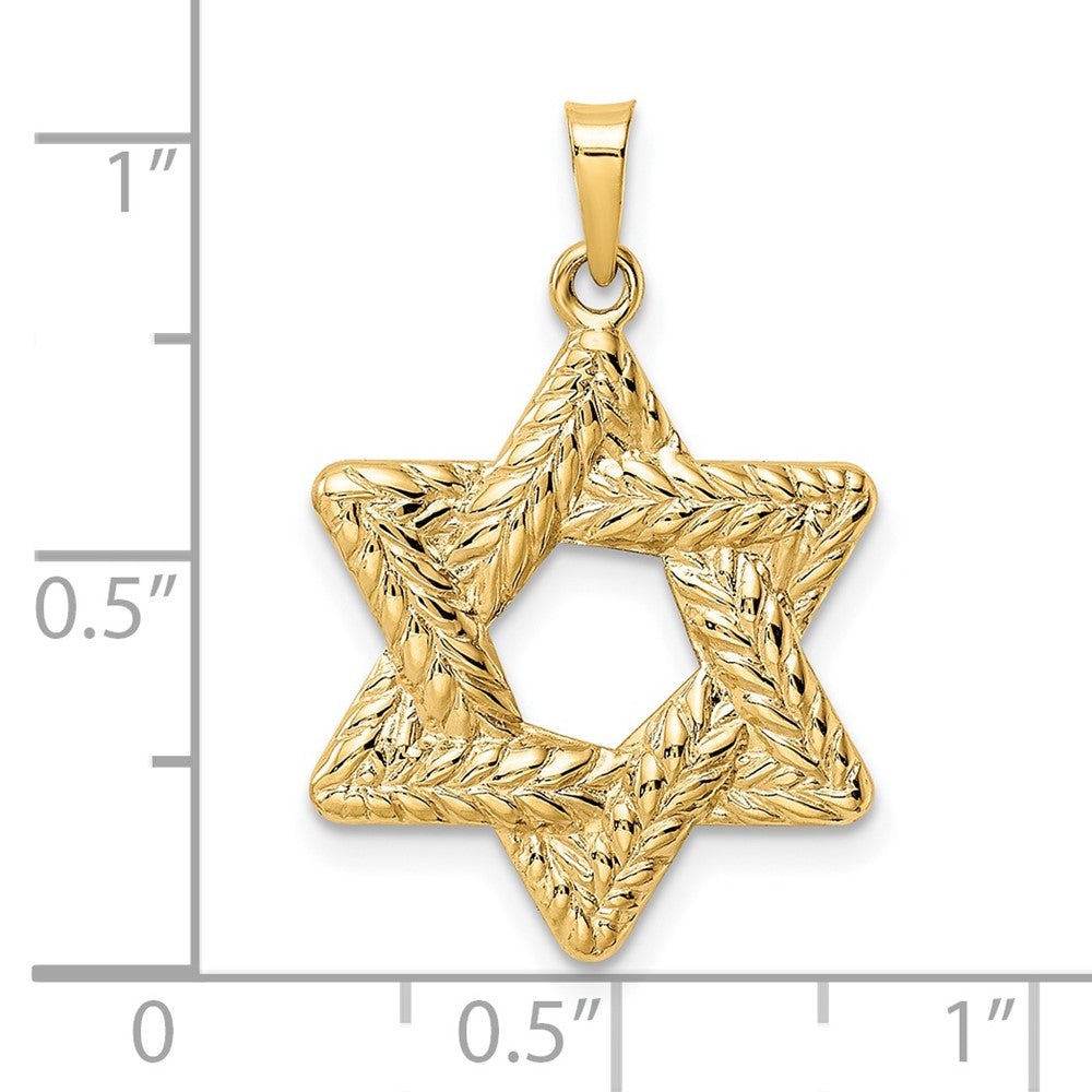 14k Yellow Gold Polished and Textured Solid Star of David Pendant