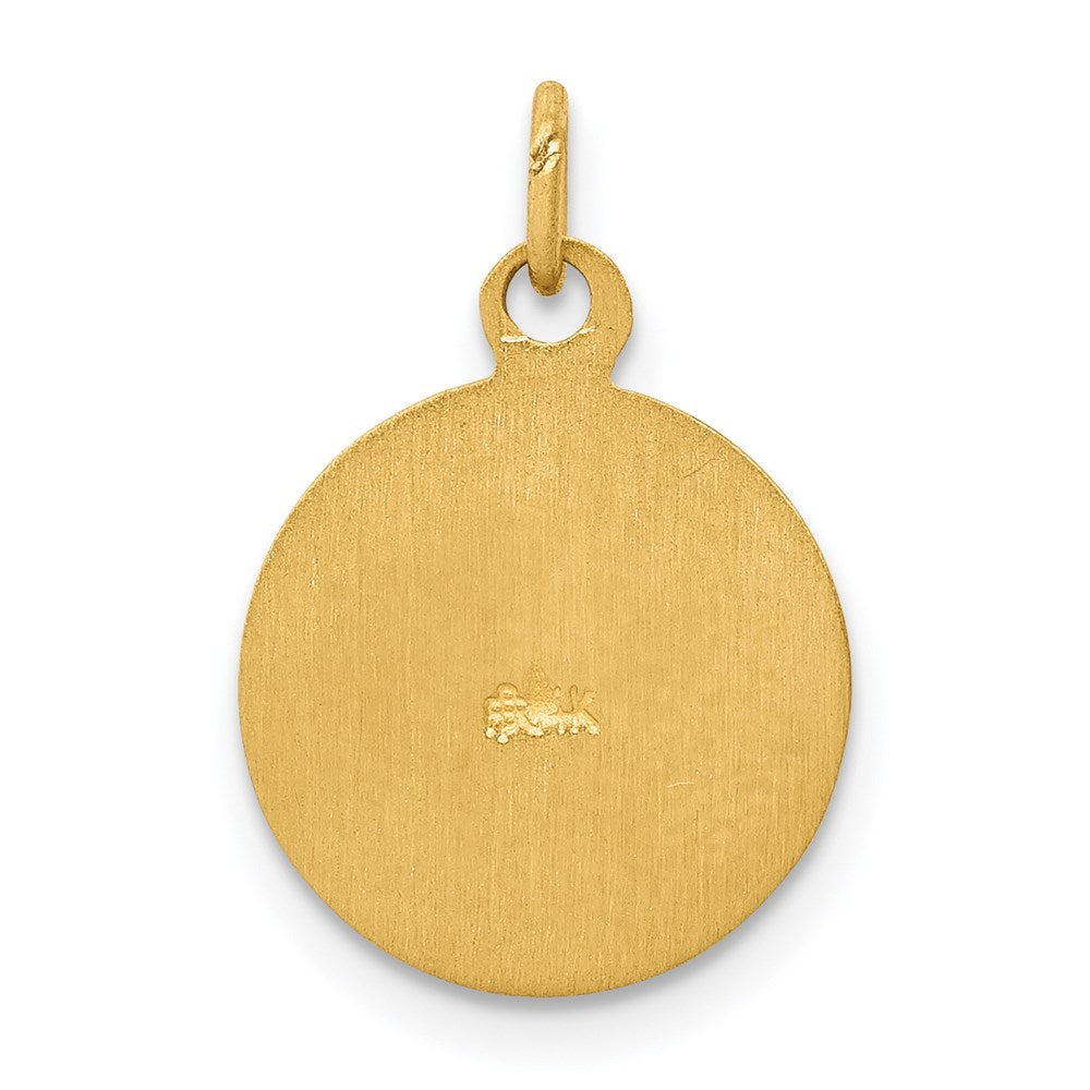 14k Yellow Gold Saint Patrick Medal Charm