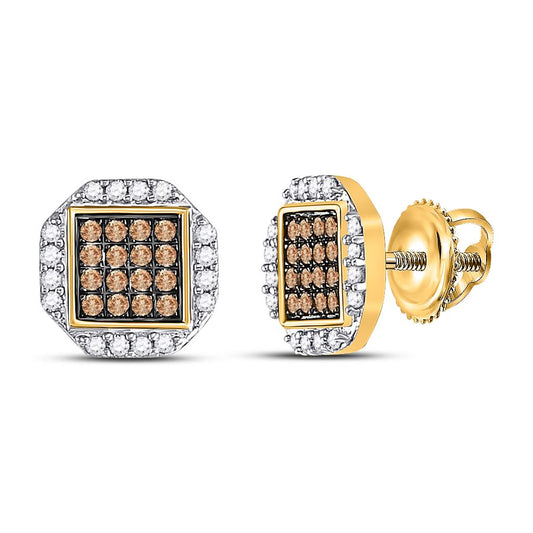 10k Yellow Gold Round Brown Diamond Octagon Cluster Earrings 3/8 Cttw